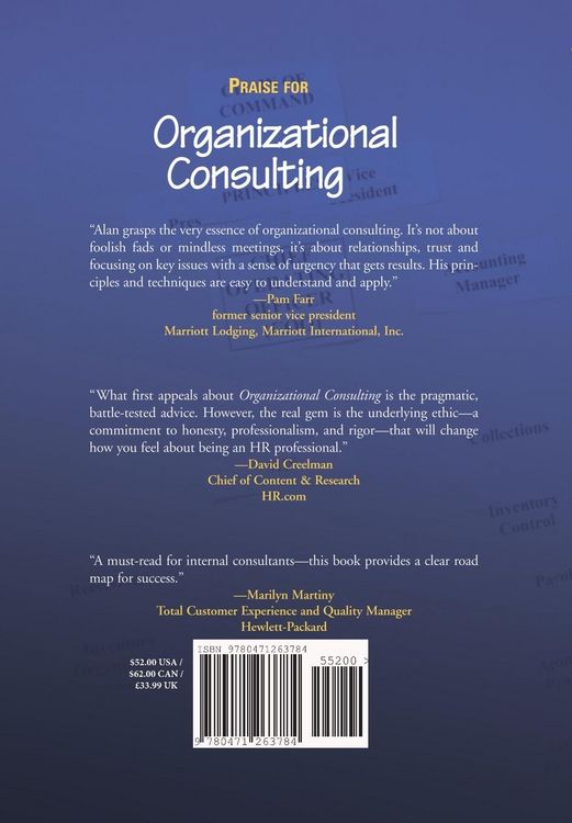 Produktbild: Organizational Consulting
