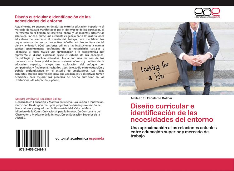 Produktbild: Dise&ntilde;o curricular e identificaci&oacute;n de las necesidades del entorno