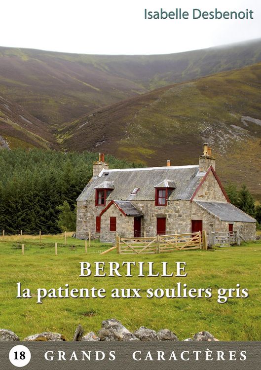 Produktbild: Bertille la patiente aux souliers gris