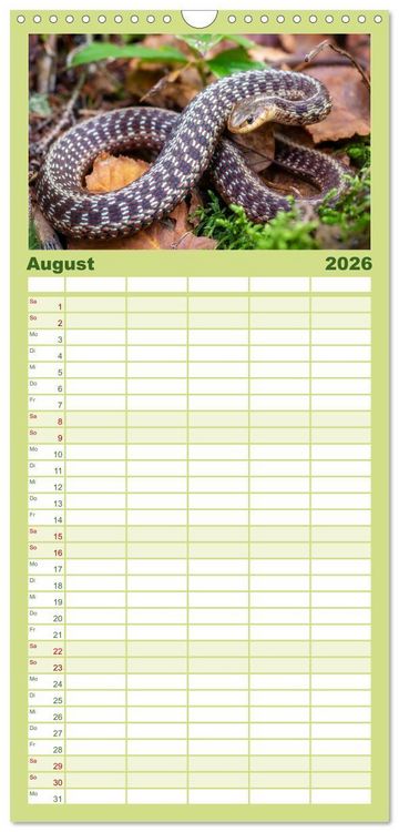 Produktbild: Familienplaner 2026 - Wildtierkalender mit 5 Spalten (Wandkalender, 21 x 45 cm) CALVENDO