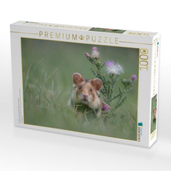 Produktbild: CALVENDO Puzzle Ein Motiv aus dem Kalender Moments in Nature | 1000 Teile Lege-Gr&ouml;&szlig;e 64x48cm Foto-Puzzle f&uuml;r gl&uuml;ckliche Stunden