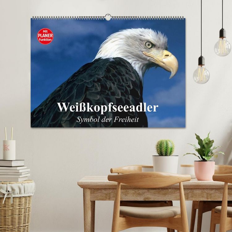 Produktbild: Wei&szlig;kopfseeadler. Symbol der Freiheit (Wandkalender 2026 DIN A2 quer), CALVENDO Monatskalender