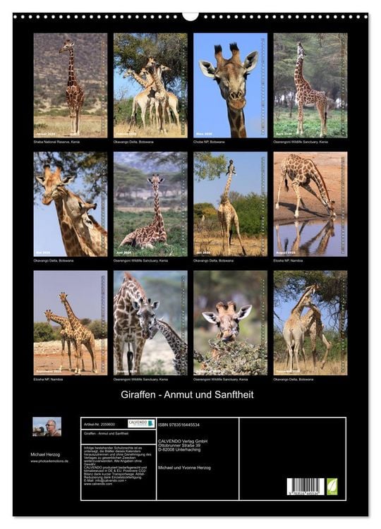 Produktbild: Giraffen - Anmut und Sanftheit (Wandkalender 2026 DIN A2 hoch), CALVENDO Monatskalender