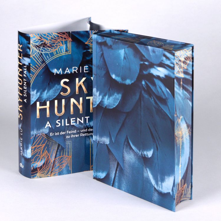 Produktbild: Skyhunter &ndash; A Silent Fall