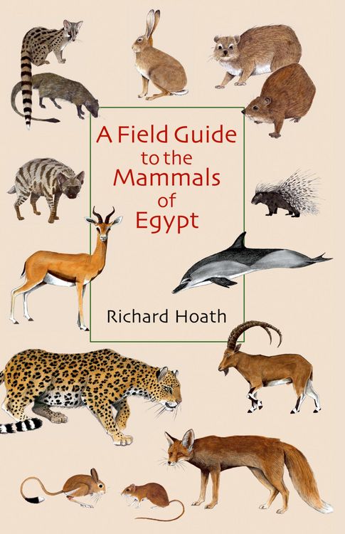 Produktbild: A Field Guide to the Mammals of Egypt