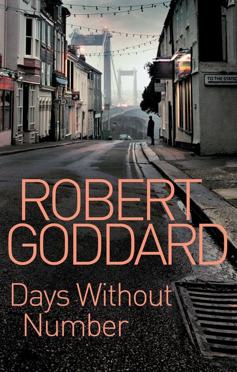Produktbild: Days Without Number