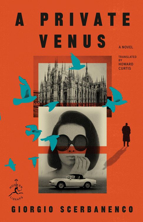 Produktbild: A Private Venus