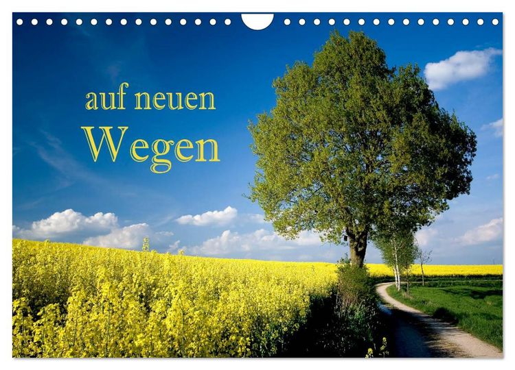 Produktbild: Auf neuen Wegen (Wandkalender 2026 DIN A4 quer), CALVENDO Monatskalender