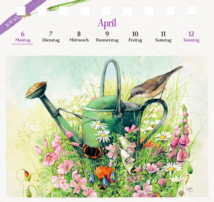 Produktbild: Kalender mit 53 Postkarten