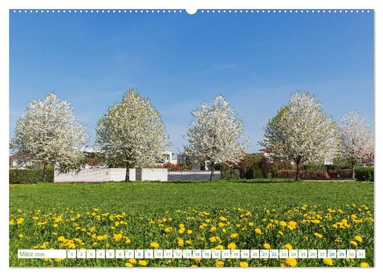 Produktbild: K&ouml;ln Widdersdorf - Bl&uuml;tentr&auml;ume und l&auml;ndliche Idylle (hochwertiger Premium Wandkalender 2026 DIN A2 quer), Kunstdruck in Hochglanz