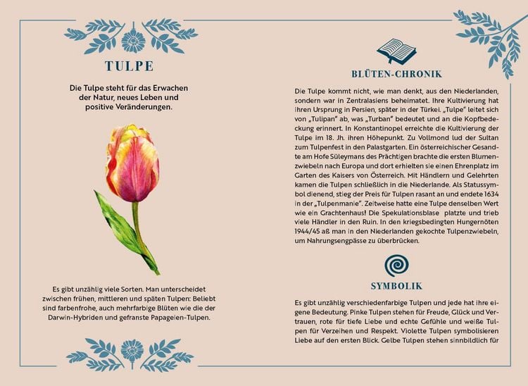 Produktbild: Adventskalender-Kartenset: Bl&uuml;tenwunder