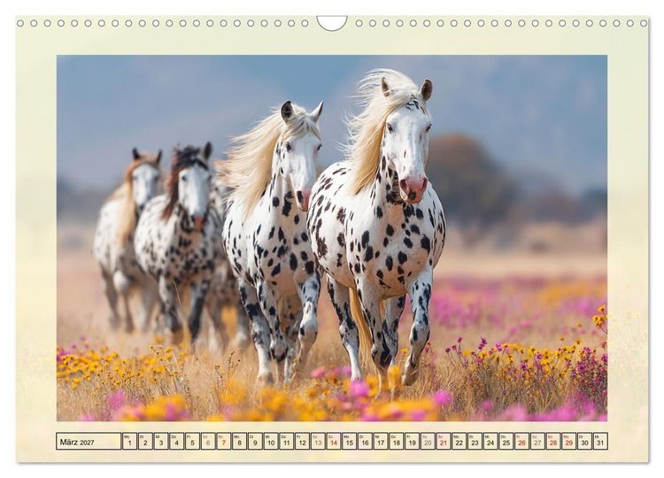Produktbild: Knabstrupper Poesie. Gescheckte Eleganz im Farmsommer (Wandkalender 2027 DIN A3 quer), CALVENDO Monatskalender