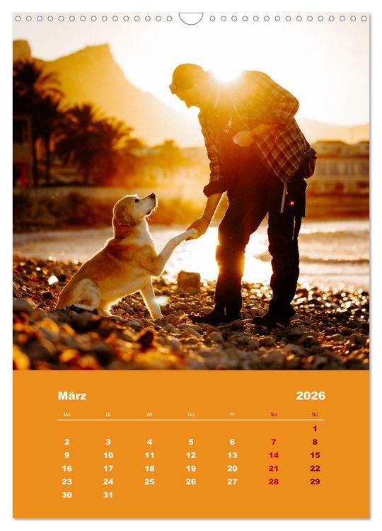 Produktbild: Du und ich - Dreamteamfotografie - Mensch und Hund (Wandkalender 2026 DIN A3 hoch), CALVENDO Monatskalender