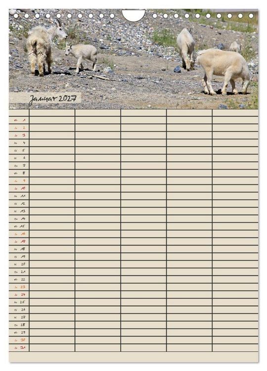 Produktbild: Tierischer Familienplaner (Wandkalender 2027 DIN A4 hoch), CALVENDO Monatskalender