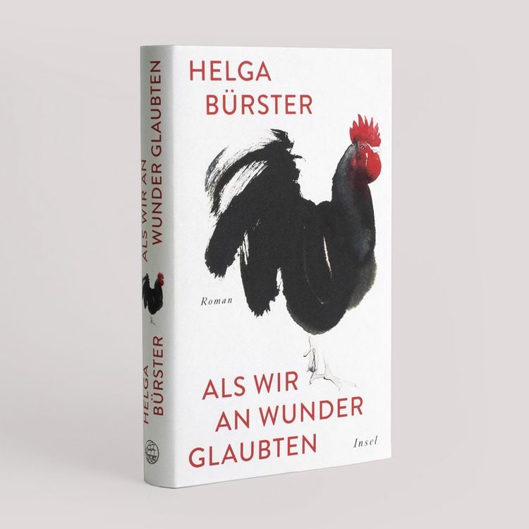 Produktbild: Als wir an Wunder glaubten