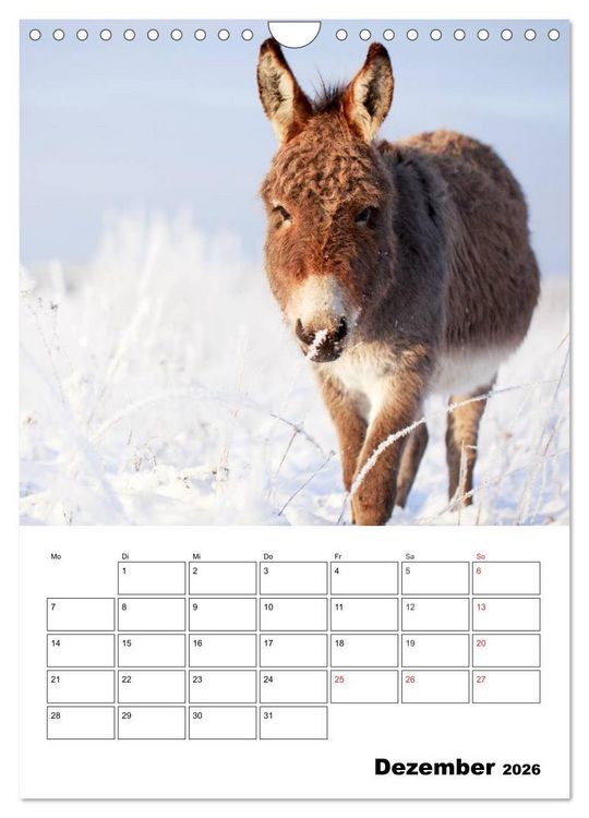 Produktbild: S&uuml;&szlig;e Esel. Langohren zum Verlieben (Wandkalender 2026 DIN A4 hoch), CALVENDO Monatskalender