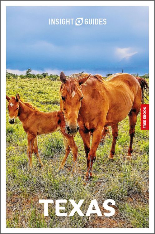 Produktbild: Insight Guides Texas: Travel Guide with eBook