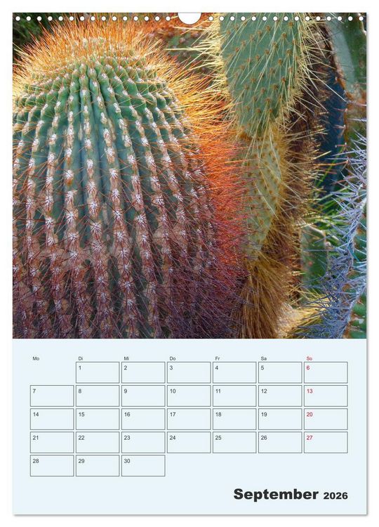 Produktbild: Wehrhafte Sukkulenten (Wandkalender 2026 DIN A3 hoch), CALVENDO Monatskalender