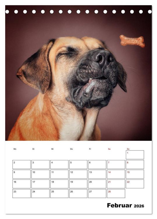 Produktbild: Fang das Leckerli (Tischkalender 2026 DIN A5 hoch), CALVENDO Monatskalender