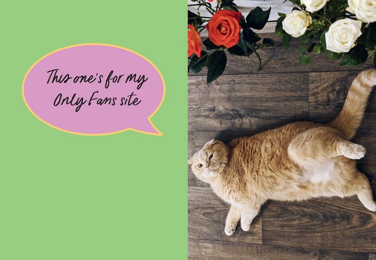 Produktbild: Sweary Cats