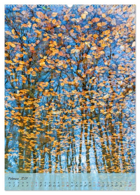 Produktbild: Wo der Wald tr&auml;umt (Wandkalender 2027 DIN A2 hoch), CALVENDO Monatskalender