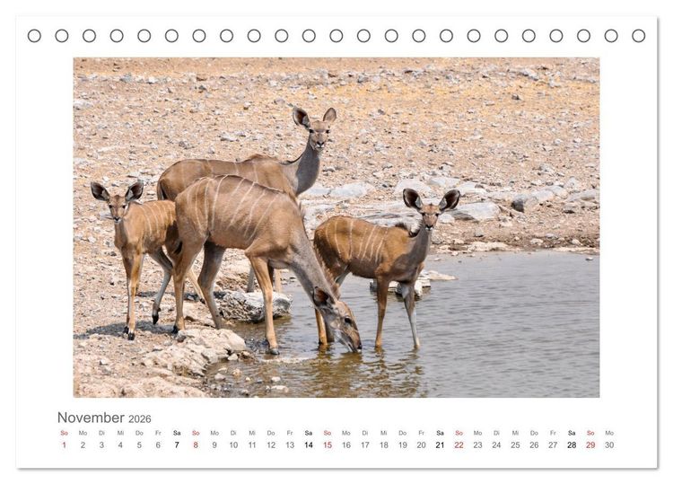 Produktbild: Namibia - unterwegs mit Julia Hahn (Tischkalender 2026 DIN A5 quer), CALVENDO Monatskalender