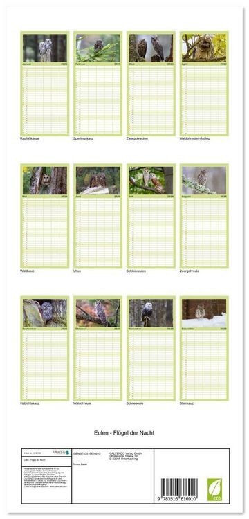 Produktbild: Familienplaner 2026 - Eulen - Fl&uuml;gel der Nacht mit 5 Spalten (Wandkalender, 21 x 45 cm) CALVENDO
