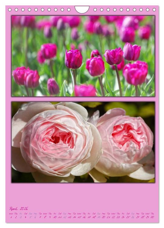 Produktbild: Colours of Nature / UK-Version (Wall Calendar 2026 DIN A4 portrait), CALVENDO 12 Month Wall Calendar