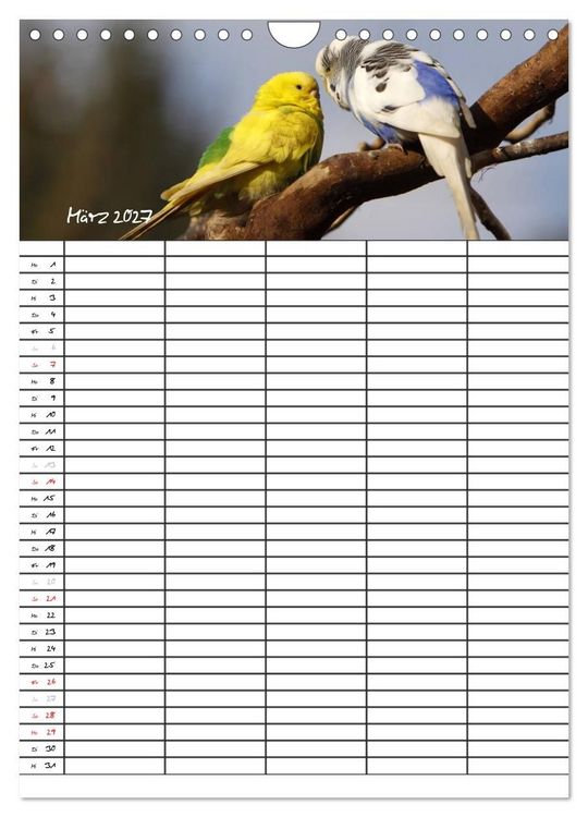 Produktbild: Wellensittiche (Wandkalender 2027 DIN A4 hoch), CALVENDO Monatskalender