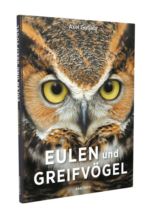 Produktbild: Eulen und Greifv&ouml;gel