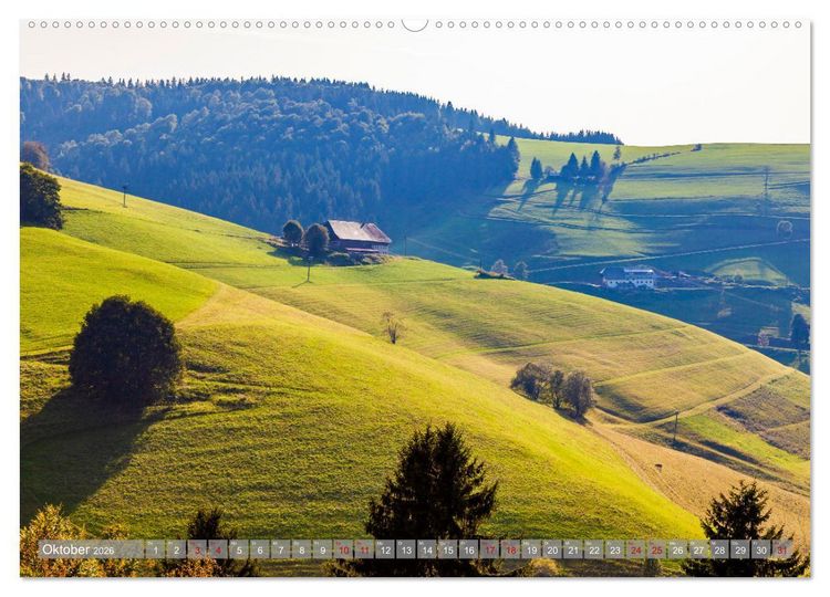 Produktbild: Ein Jahr im Schwarzwald (hochwertiger Premium Wandkalender 2026 DIN A2 quer), Kunstdruck in Hochglanz