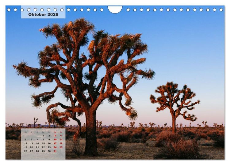Produktbild: USA S&uuml;dwesten - Atemberaubende Aussichten (Wandkalender 2026 DIN A4 quer), CALVENDO Monatskalender