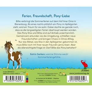 Produktbild: Billie und St&uuml;x. Ein Pony f&auml;llt vom Himmel