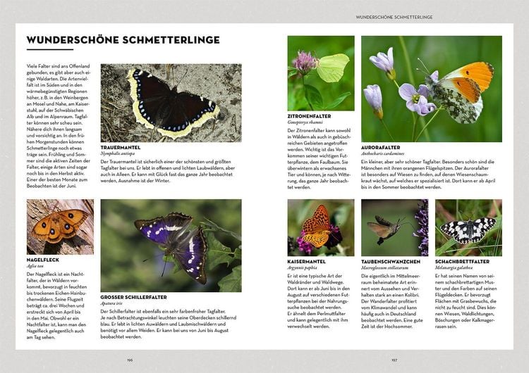 Produktbild: Tiere beobachten mit dem Wildtierguide