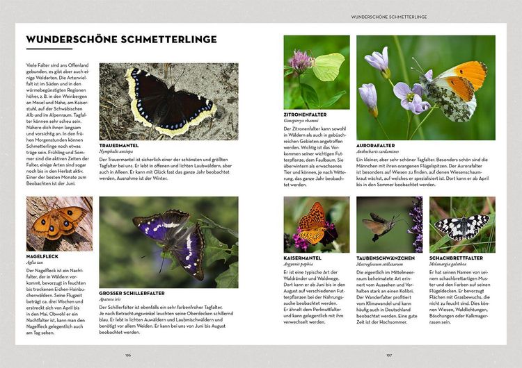 Produktbild: Tiere beobachten mit dem Wildtierguide