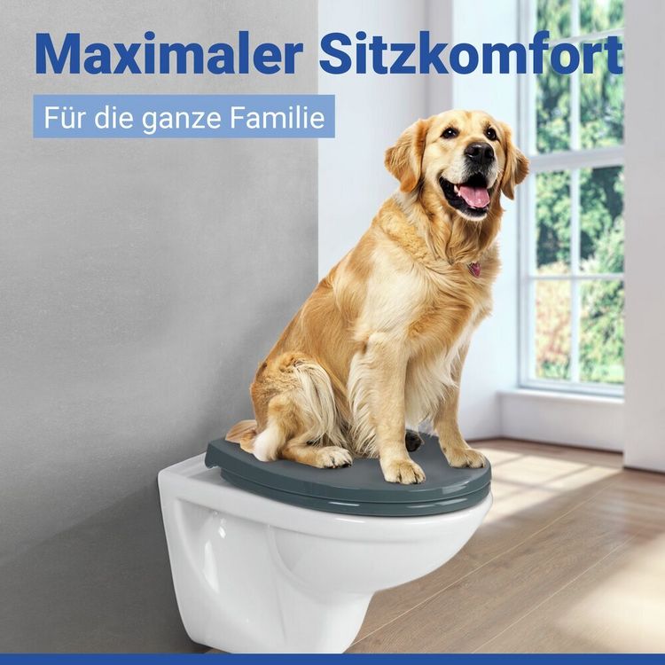 Produktbild: WC Sitz Mod. Ostuni Grau, stabiler Toilettensitz mit Absenkautomatik