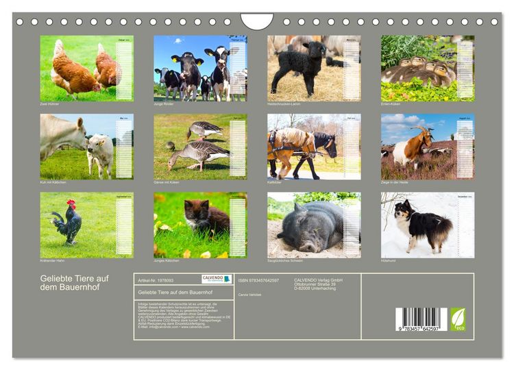 Produktbild: Geliebte Tiere auf dem Bauernhof (Wandkalender 2026 DIN A4 quer), CALVENDO Monatskalender