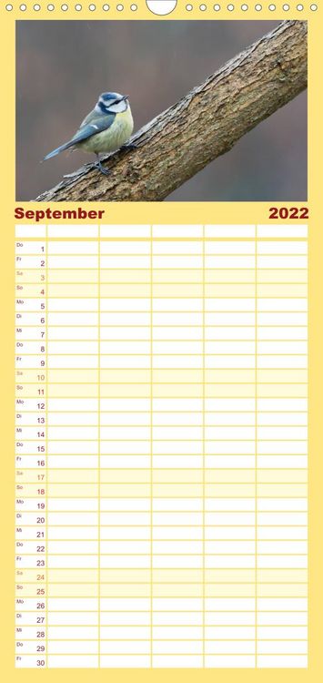 Produktbild: Familienplaner Gartenv&ouml;gel (Wandkalender 2022 , 21 cm x 45 cm, hoch)