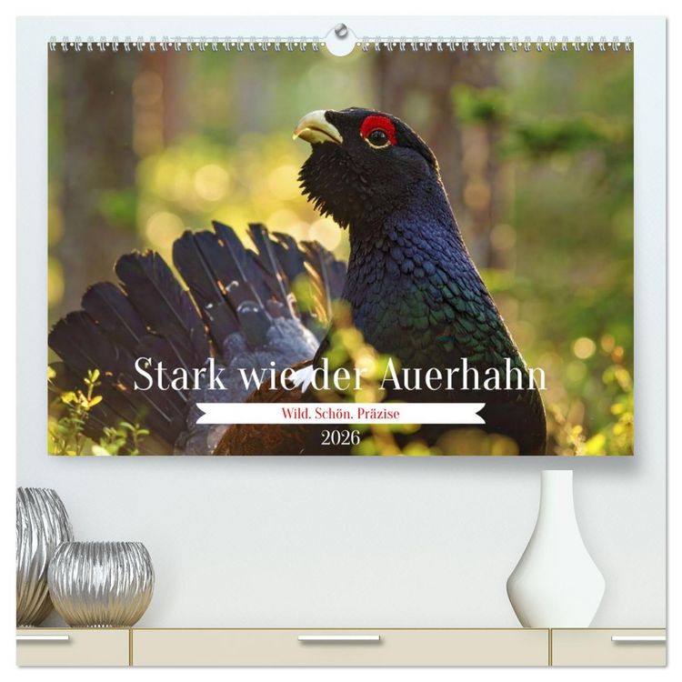 Produktbild: Stark wie der Auerhahn (hochwertiger Premium Wandkalender 2026 DIN A2 quer), Kunstdruck in Hochglanz