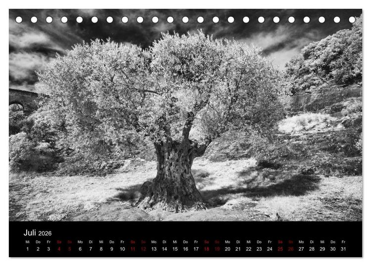 Produktbild: M&auml;rchenhaftes Frankreich (Tischkalender 2026 DIN A5 quer), CALVENDO Monatskalender