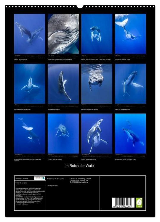 Produktbild: Im Reich der Wale (hochwertiger Premium Wandkalender 2026 DIN A2 hoch), Kunstdruck in Hochglanz