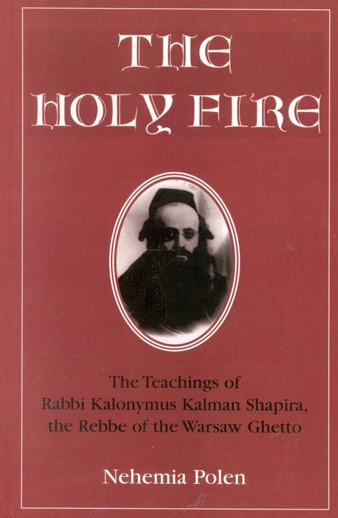 Produktbild: The Holy Fire