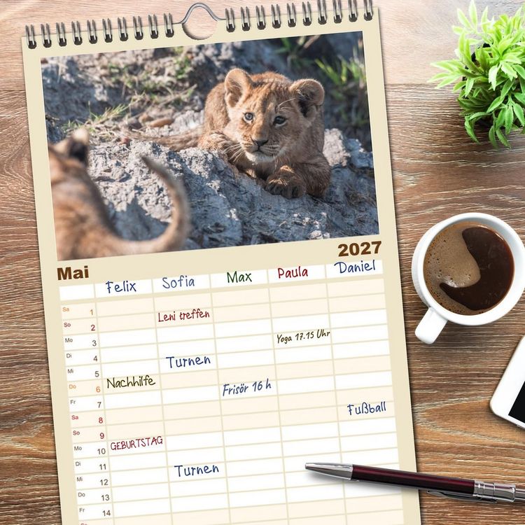 Produktbild: Familienplaner 2027 - L&ouml;wen - Raubkatzen Afrikas mit 5 Spalten (Wandkalender, 21 x 45 cm) CALVENDO