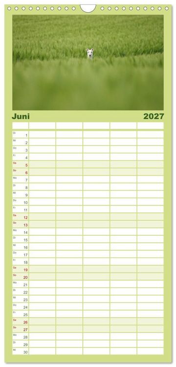 Produktbild: Familienplaner 2027 - Der Windhundekalender mit 5 Spalten (Wandkalender, 21 x 45 cm) CALVENDO