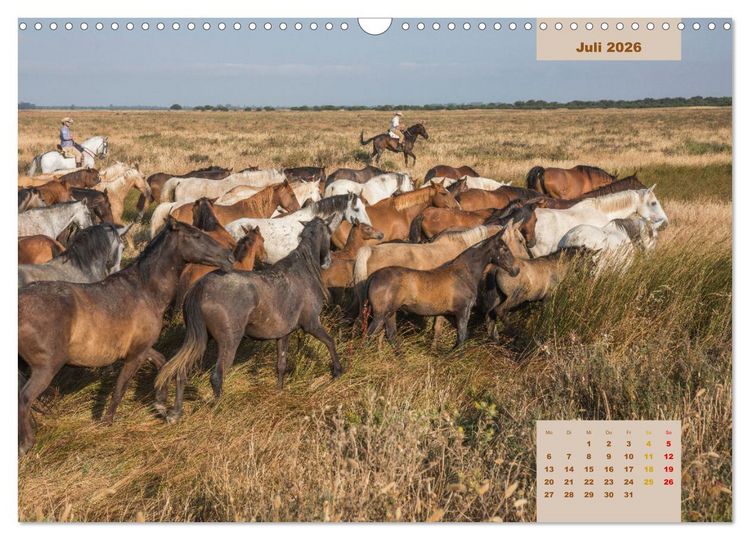 Produktbild: Pferde - Andalusiens wilder Westen (Wandkalender 2026 DIN A3 quer), CALVENDO Monatskalender