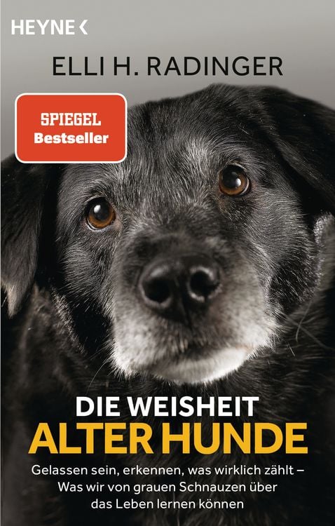 Produktbild: Die Weisheit alter Hunde