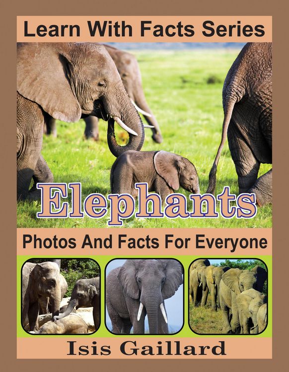 Produktbild: Elephants Photos and Facts for Everyone (Learn With Facts Series, #5)