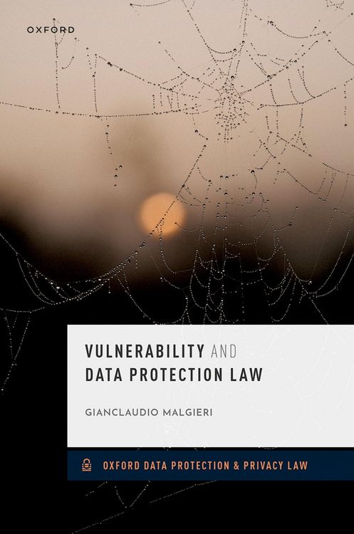 Produktbild: Vulnerability and Data Protection Law