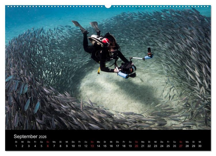 Produktbild: Tanz der Fische (hochwertiger Premium Wandkalender 2026 DIN A2 quer), Kunstdruck in Hochglanz