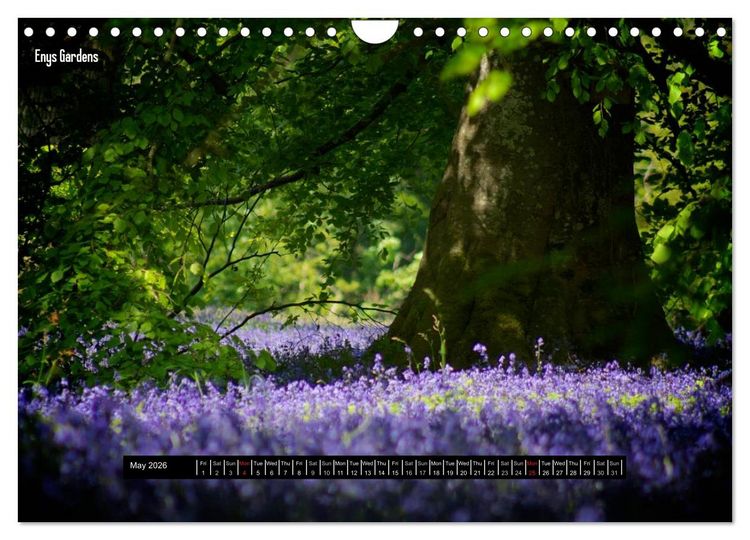Produktbild: Photographic Cornwall 2026 (Wall Calendar 2026 DIN A4 landscape), CALVENDO 12 Month Wall Calendar